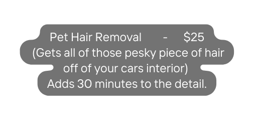 Pet Hair Removal 25 Gets all of those pesky piece of hair off of your cars interior Adds 30 minutes to the detail